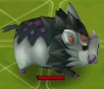 ����.png